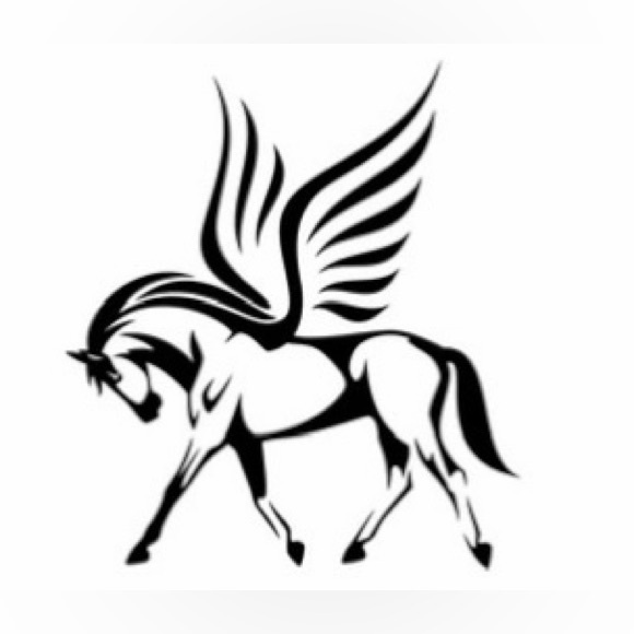 showpony19
